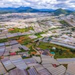 Dalat: Best of the Countryside Tour in a Private Car - Pricing and Value