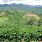 Dalat Countryside Motorbike Tour - Full day Easy Rider Tour - Who should consider this tour?