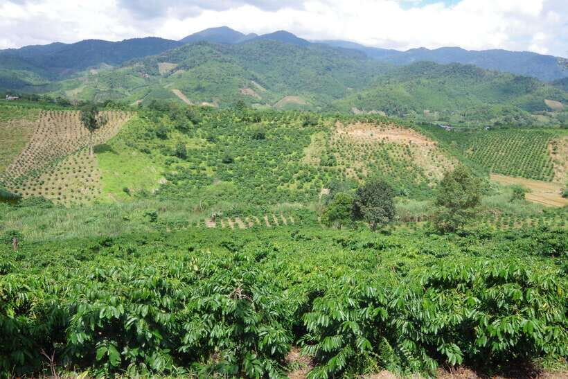 Dalat Countryside Motorbike Tour - Full day Easy Rider Tour - Who should consider this tour?