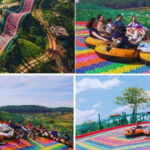 Dalat: Mario kart - Mongo Land - Countryside Tour - Analyzing the Value