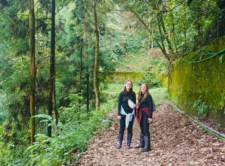 Darjeeling Cultural & Nature Walking Guided Tour - What’s Included & What’s Not