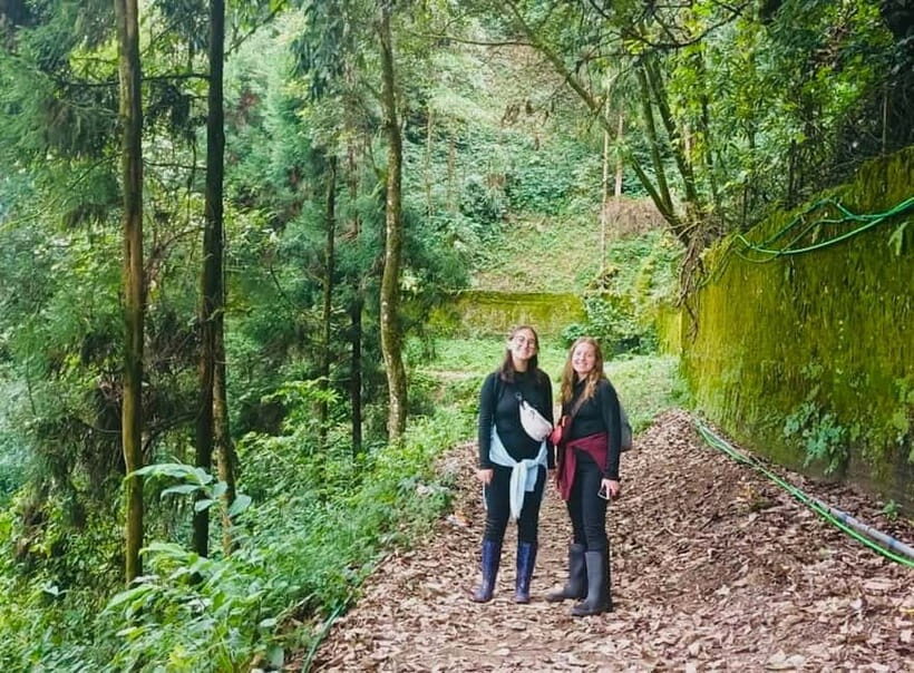 Darjeeling Cultural & Nature Walking Guided Tour - What’s Included & What’s Not