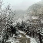 Datong: Hanging Temples, Yungang Grottoes & Wooden Pagoda - Who Will Enjoy This Tour?