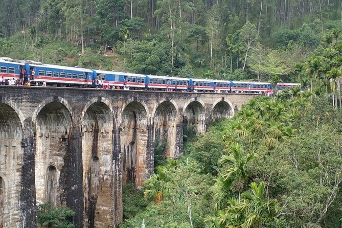 Day Tour Ella with Train Ride, Little Adams Peak and Nine Arches - Transportation & Overall Comfort
