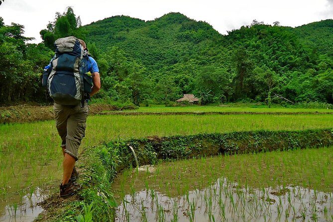Day Trek to Kuangsi Waterfall and Bear Sanctuary - Luang Prabang full day tour - Authentic Experiences That Matter
