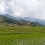 Day Trip Visit Y Linh Ho,Lao Chai Ta Van - Cat Cat Village - Practical Tips for Travelers