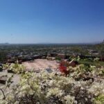 Delhi: 15th Century Neemrana Fort - Car, Guide, Lunch - Practical Tips for Making the Most of Your Day