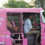 Delhi: By Tuk Tuk - What’s Included and What’s Not