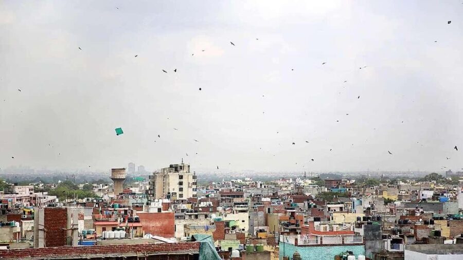Delhi: Kite Flying in Old Delhi-A Journey Through the Skies - Why This Tour Stands Out