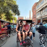 Delhi: Old and New Delhi Full or Half Day Guided Tour - Final Thoughts