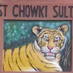 Delhi: Private 3-Days Jaipur & Ranthambore Tiger Safari Tour - Authentic Experiences from Reviewers