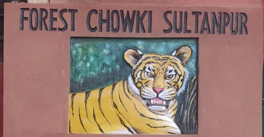 Delhi: Private 3-Days Jaipur & Ranthambore Tiger Safari Tour - Authentic Experiences from Reviewers