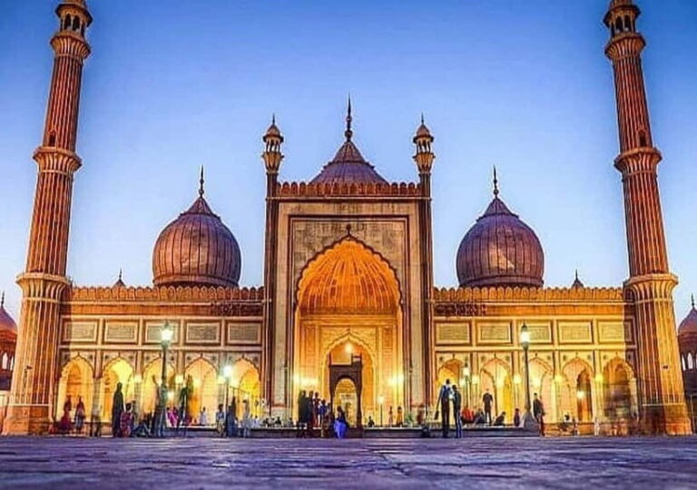 Delhi: Private Old and New Delhi Tour with Pickup - Final Thoughts