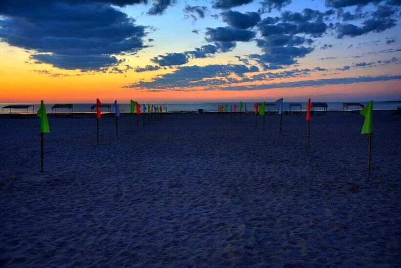 Desert Adventure from Samarkand: Yurt Camp & Aydarkul Escape - Practical Tips for Travelers