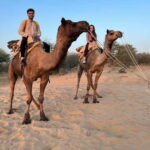 Desert Camel Safari Day Trip From Jodhpur - What Makes the Camel Safari Special?