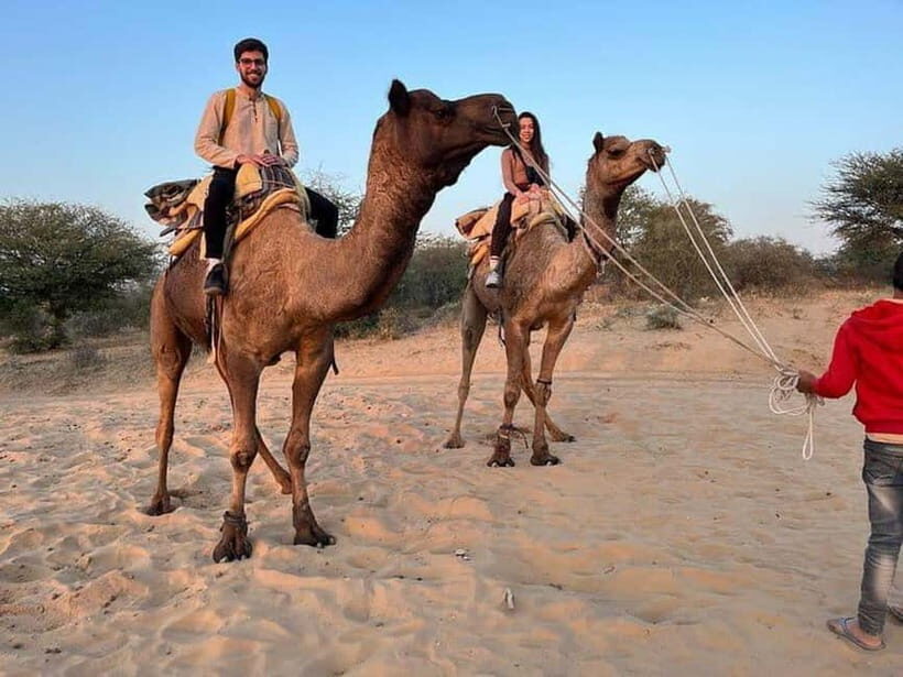 Desert Camel Safari Day Trip From Jodhpur - What Makes the Camel Safari Special?