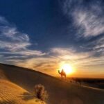 Desert Rose Jaisalmer: Overnight Stay Middle of Thar Desert - The Value of This Tour