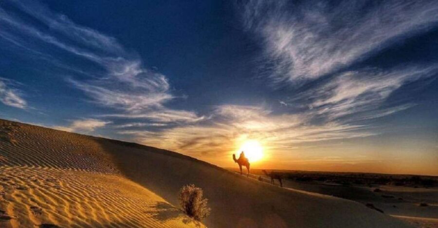 Desert Rose Jaisalmer: Overnight Stay Middle of Thar Desert - The Value of This Tour