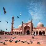 Discover Delhi in a Day: Private Tour with Comfort & Style - Practical Details and What It Means for You