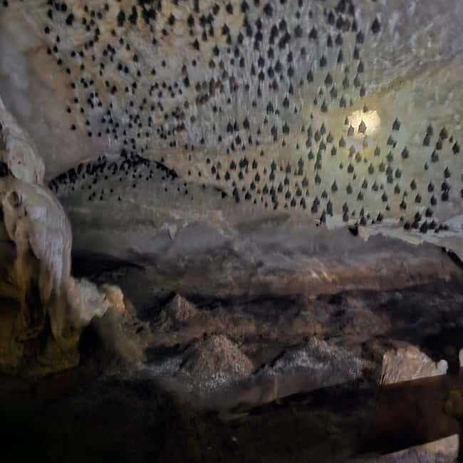 Discover Langkawi Like a local - Private Island Tour - The Mangrove Trek: Natures Hidden Treasure