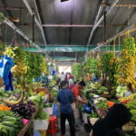 "Discover Male': A Guided Tour in the Heart of the Maldives. - What Makes This Tour Stand Out