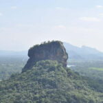 Discover Sri Lanka: 5-Day Cultural & Coastal Tour - Why This Tour Offers Great Value