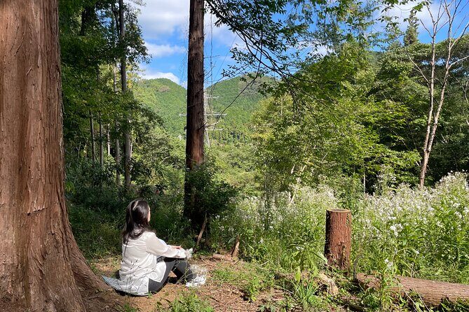 Ecotourism and Woodcraft with a Mountain Artist Near Tokyo - Who Would Enjoy This Tour?