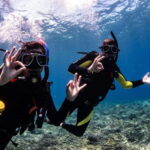 El Nido: Deep Blue Dive Seafari Experience - Introduction: What to Expect from the Deep Blue Dive Seafari