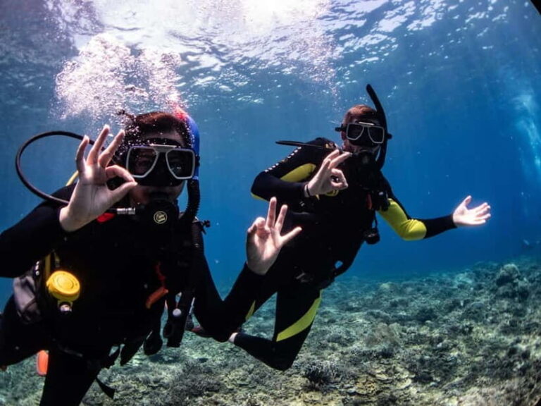 El Nido: Deep Blue Dive Seafari Experience - Introduction: What to Expect from the Deep Blue Dive Seafari