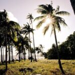 El Nido Group Tour B with Lunch (Full Day) - What Reviewers Say About the Experience