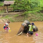 Elephant Care & Bathing Chiang Rai - Authenticity and Ethical Considerations