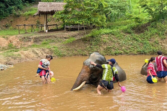 Elephant Care & Bathing Chiang Rai - Authenticity and Ethical Considerations