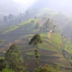 Ella: 3-Day Private Tour with Hotel and Breakfast - Why This Tour Works for Travelers