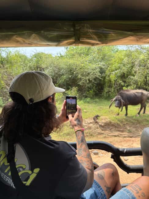 Ella: Highlands to Coast Tour With Safari & Village Lunch - The Sum Up