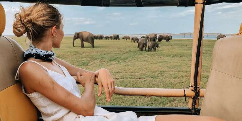 Ella: Shuttle to Tangalle/Mirissa/Galle w Udawalawe Safari - Value and Price Breakdown