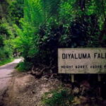 Ella: Tuk Tuk Tour to Diyaluma and Secret Waterfalls - Transportation and Group Experience