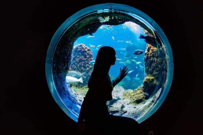 Enoshima Aquarium: Admission Ticket - Authentic Reviews and Insights