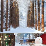 Eobi Ice Valley & Nami (+ Light Festival, Railbike, Alpaca) - Is This Tour Worth the Price?