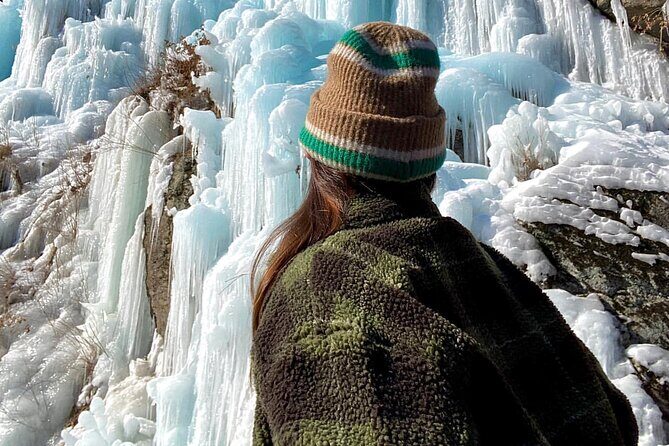 Eobi Ice Wall & Nami Island & Morning Calm Light Festival - Practical Details & Value