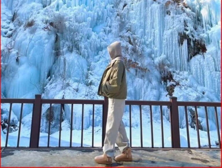 Eobi Valley, Sledding, Strawberry Picking, and Sheep Ranch - Analyzing the Value