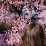 Essential Seoul: Hanbok, Hanok & Handmade Noodles - The Practicalities: How It Works and What to Know