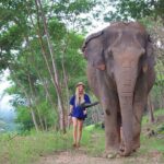 Ethical Elephant Sanctuary Tour from Bangkok & Pattaya - The Itinerary in Detail