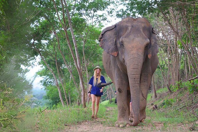 Ethical Elephant Sanctuary Tour from Bangkok & Pattaya - The Itinerary in Detail