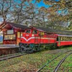 Exclusive 3-Day Sun Moon Lake & Alishan Private Tour - Authentic Experiences and Real Traveler Insights