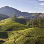 Exclusive, Backwater of Kerala Tour (04 Nights - 05 Days) - What Makes This Tour Stand Out?