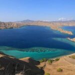 Exclusive Early Bird Komodo Tour: Beat the Crowds by Speed Boat - What the Tour Includes and What to Consider