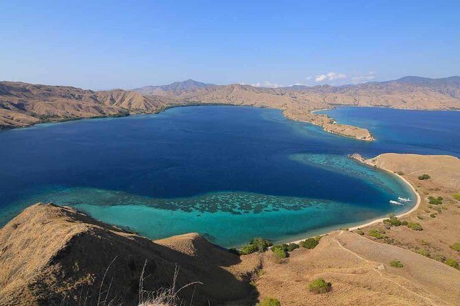 Exclusive Early Bird Komodo Tour: Beat the Crowds by Speed Boat - What the Tour Includes and What to Consider