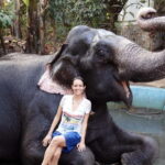 Exclusive Periyar Wildlife with Elephant Bath Tour (03 Days) - What Makes This Tour Valuable?