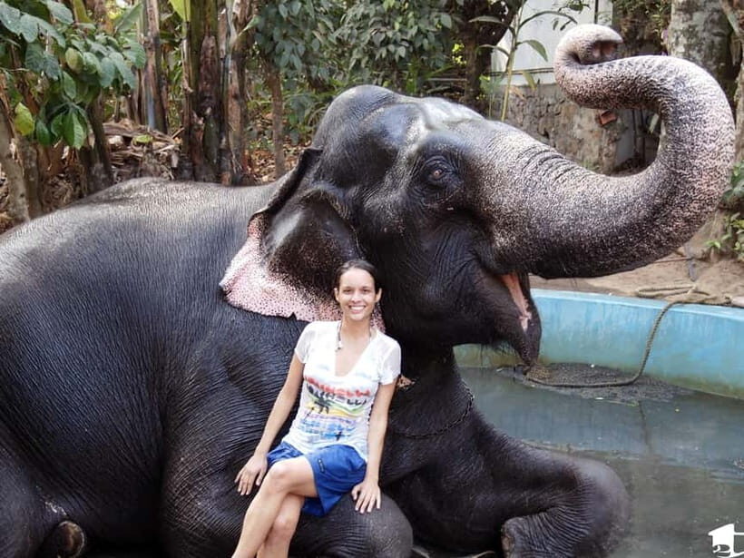 Exclusive Periyar Wildlife with Elephant Bath Tour (03 Days) - What Makes This Tour Valuable?