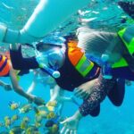 Explore 4 iconic snorkeling spots of Manta Bay in Nusa Penida - What’s Included and What’s Not